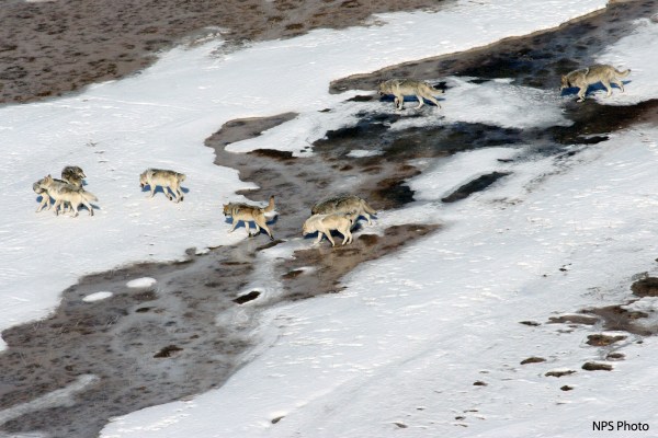 pack_20131125093514_500